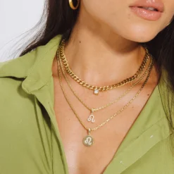 Leo Pave Pendant 9 Leo Pave Pendant -Fashion Jewelry Discount Store leo pave pendant gld women the gld shop 3 scaled